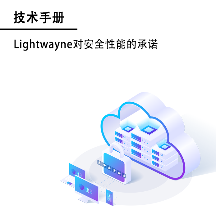 Lightwayne对安全性能的承诺